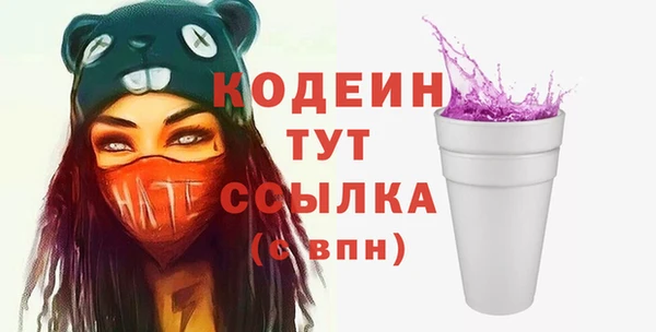 гашик Кодинск