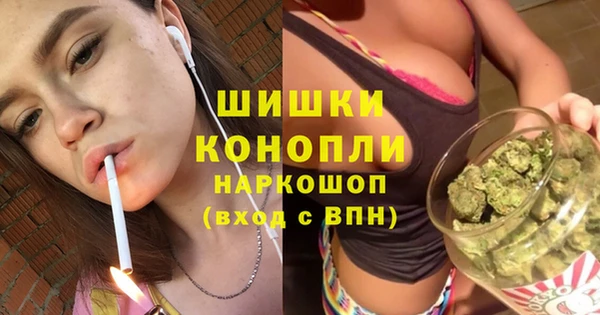 гашик Кодинск