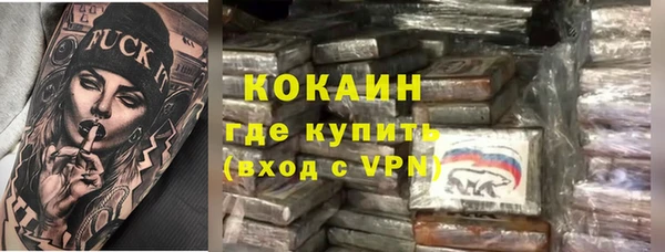 твердый Козловка