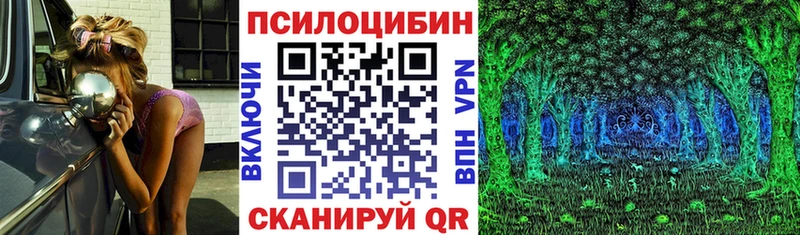 Псилоцибиновые грибы Psilocybine cubensis  где купить наркоту  Армавир 