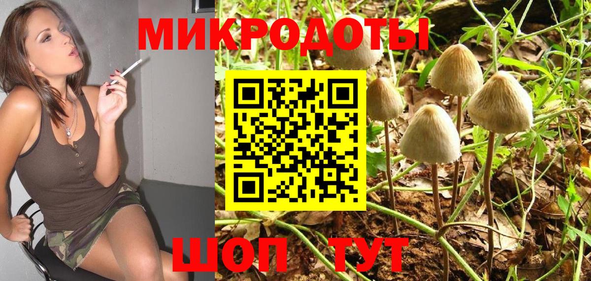 Армавир  Псилоцибиновые грибы GOLDEN TEACHER  Псилоцибиновые грибы Cubensis  Вход с VPN 