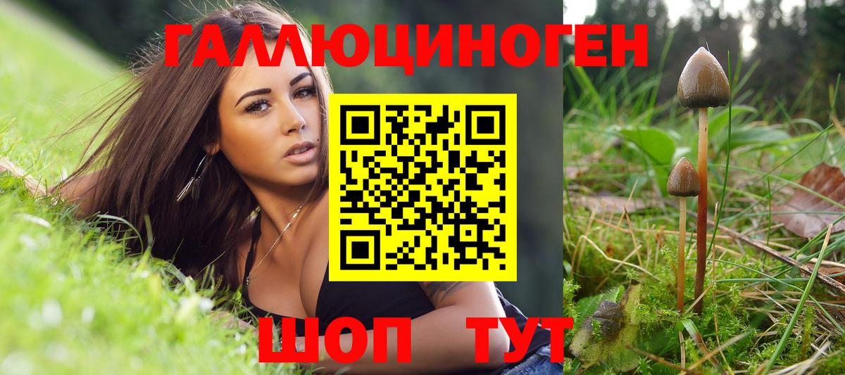 A-PVP Армавир