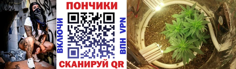Шишки марихуана SATIVA & INDICA Армавир